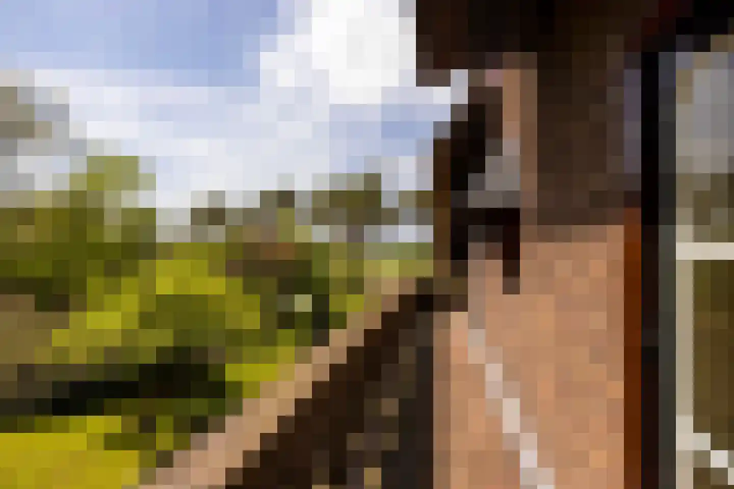 Oude Tolweg 3 Wierden thumbnail 30