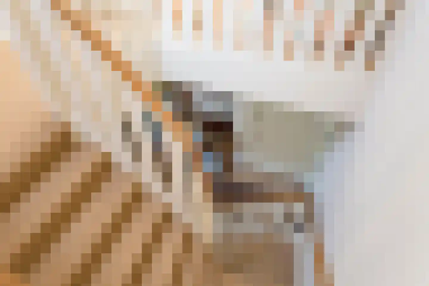 Oude Tolweg 3 Wierden thumbnail 34
