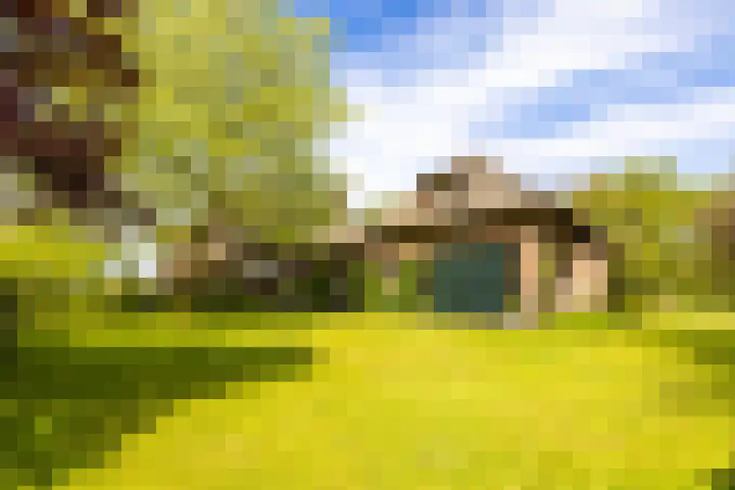 Oude Tolweg 3 Wierden thumbnail 36