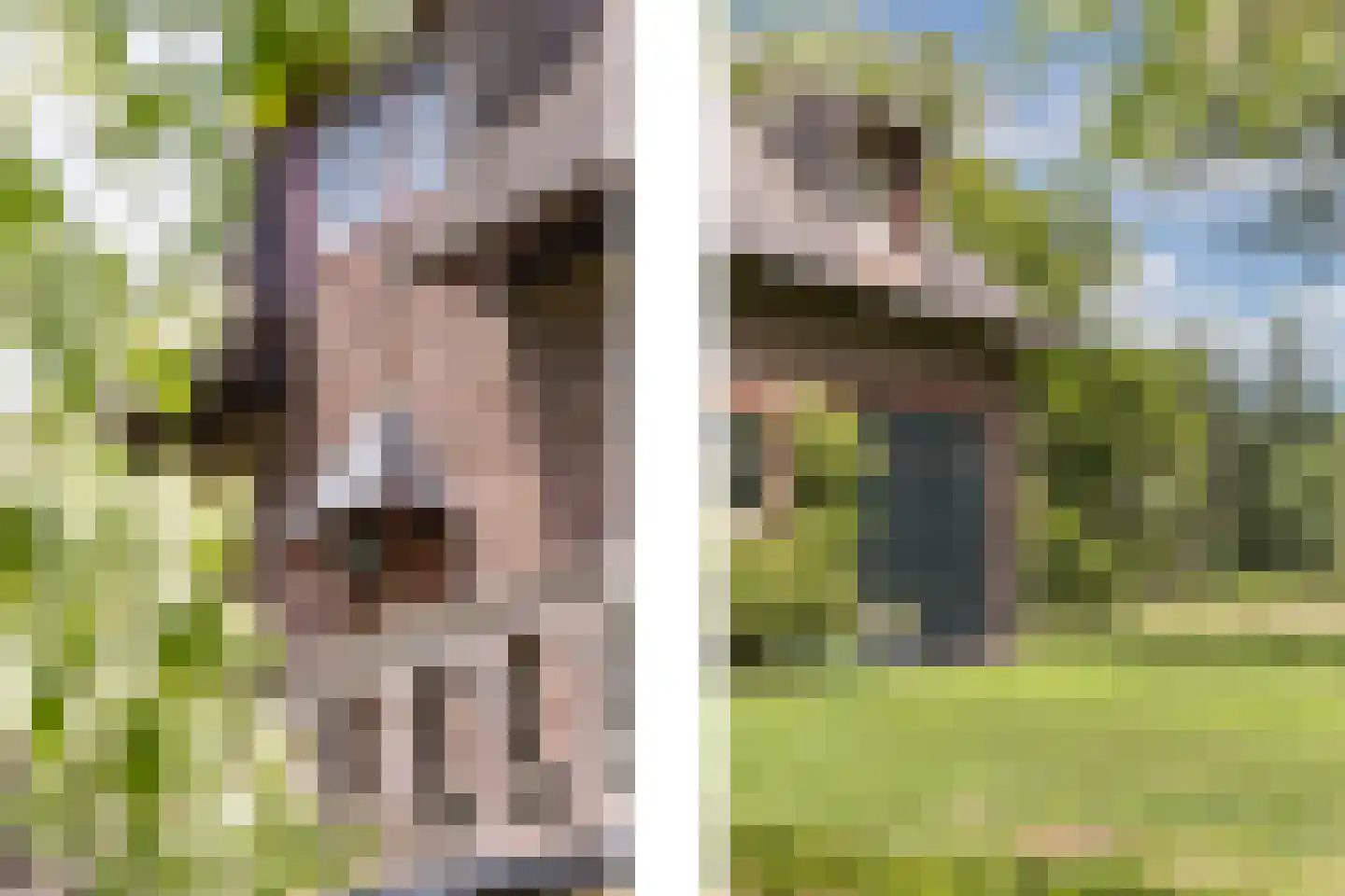 Oude Tolweg 3 Wierden thumbnail 37