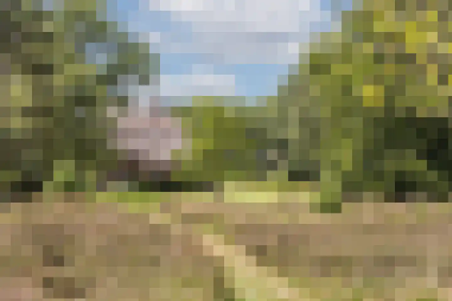 Oude Tolweg 3 Wierden thumbnail 38