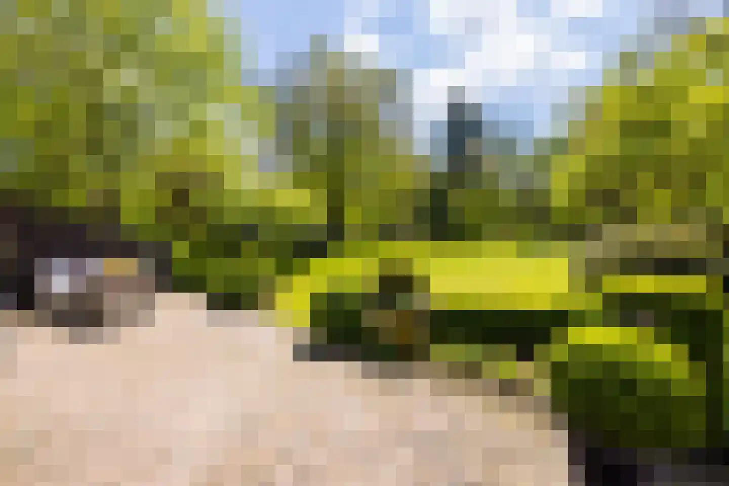 Oude Tolweg 3 Wierden thumbnail 40
