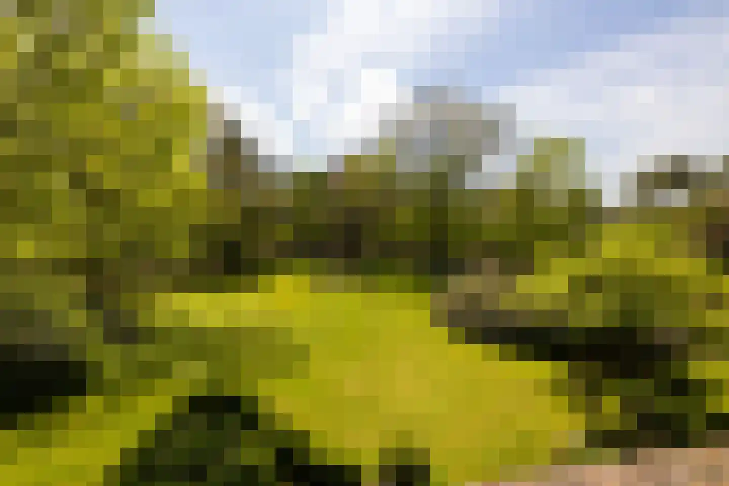 Oude Tolweg 3 Wierden thumbnail 41