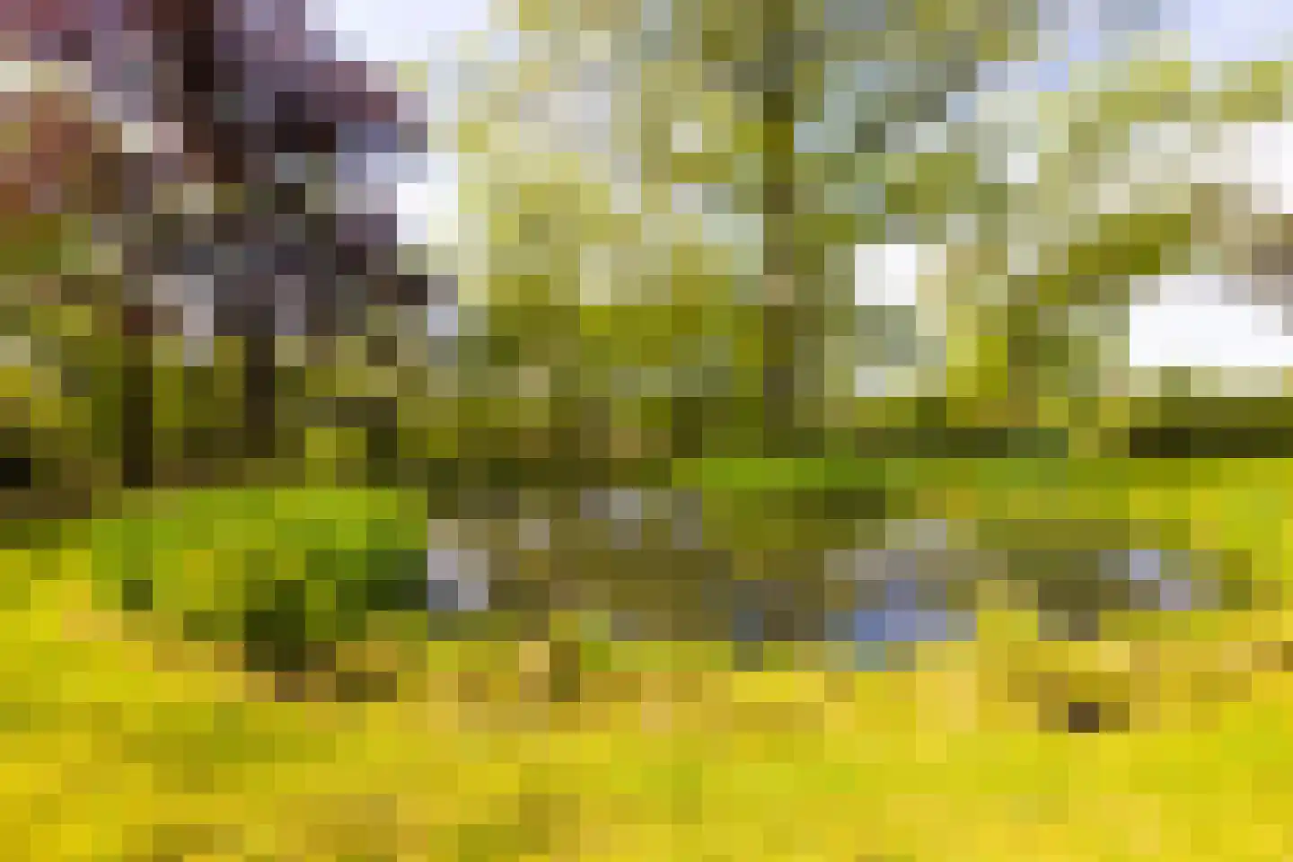 Oude Tolweg 3 Wierden thumbnail 42