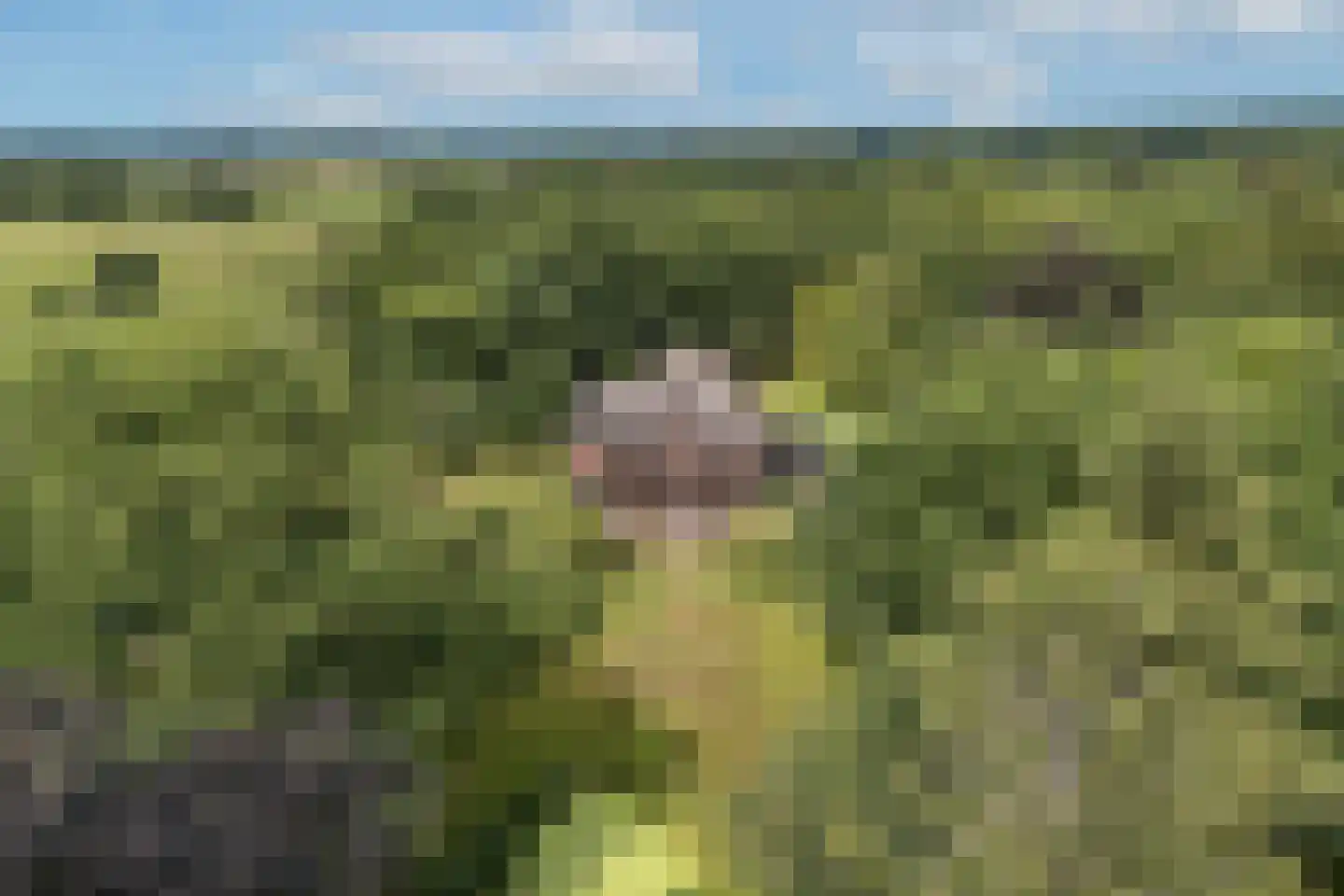 Oude Tolweg 3 Wierden thumbnail 43