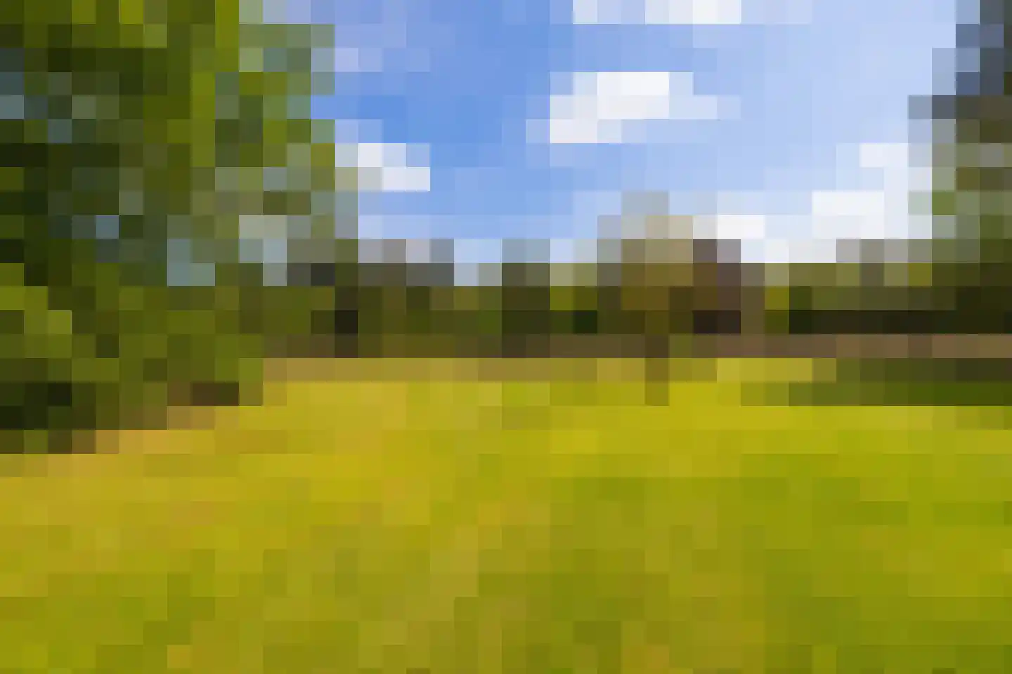 Oude Tolweg 3 Wierden thumbnail 44