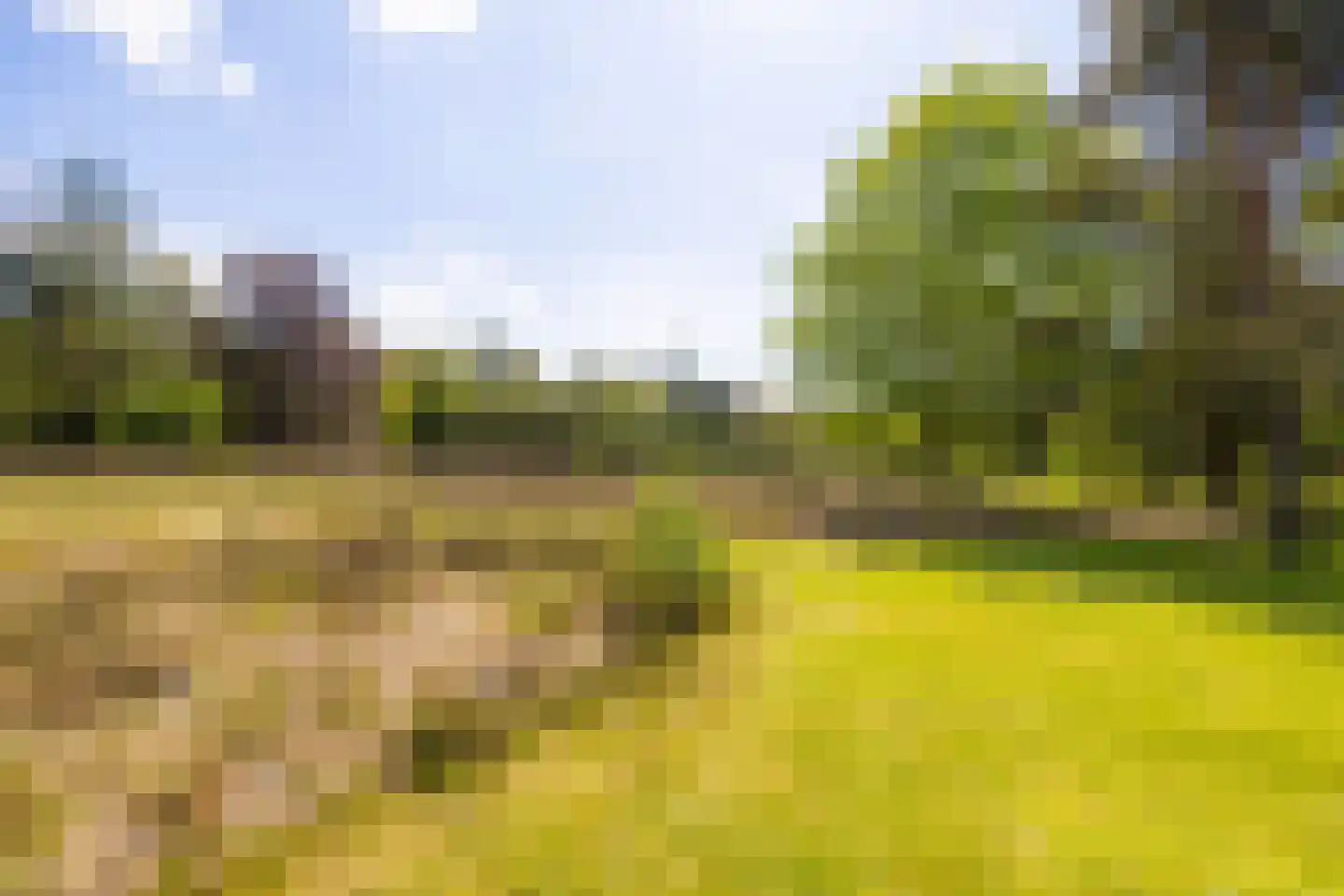 Oude Tolweg 3 Wierden thumbnail 46