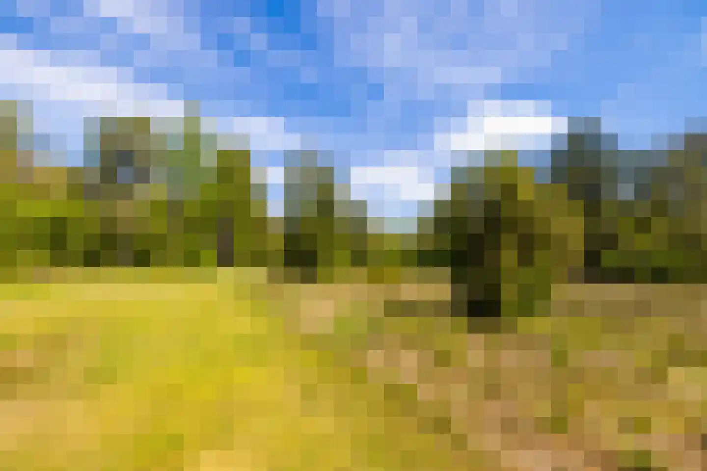 Oude Tolweg 3 Wierden thumbnail 47