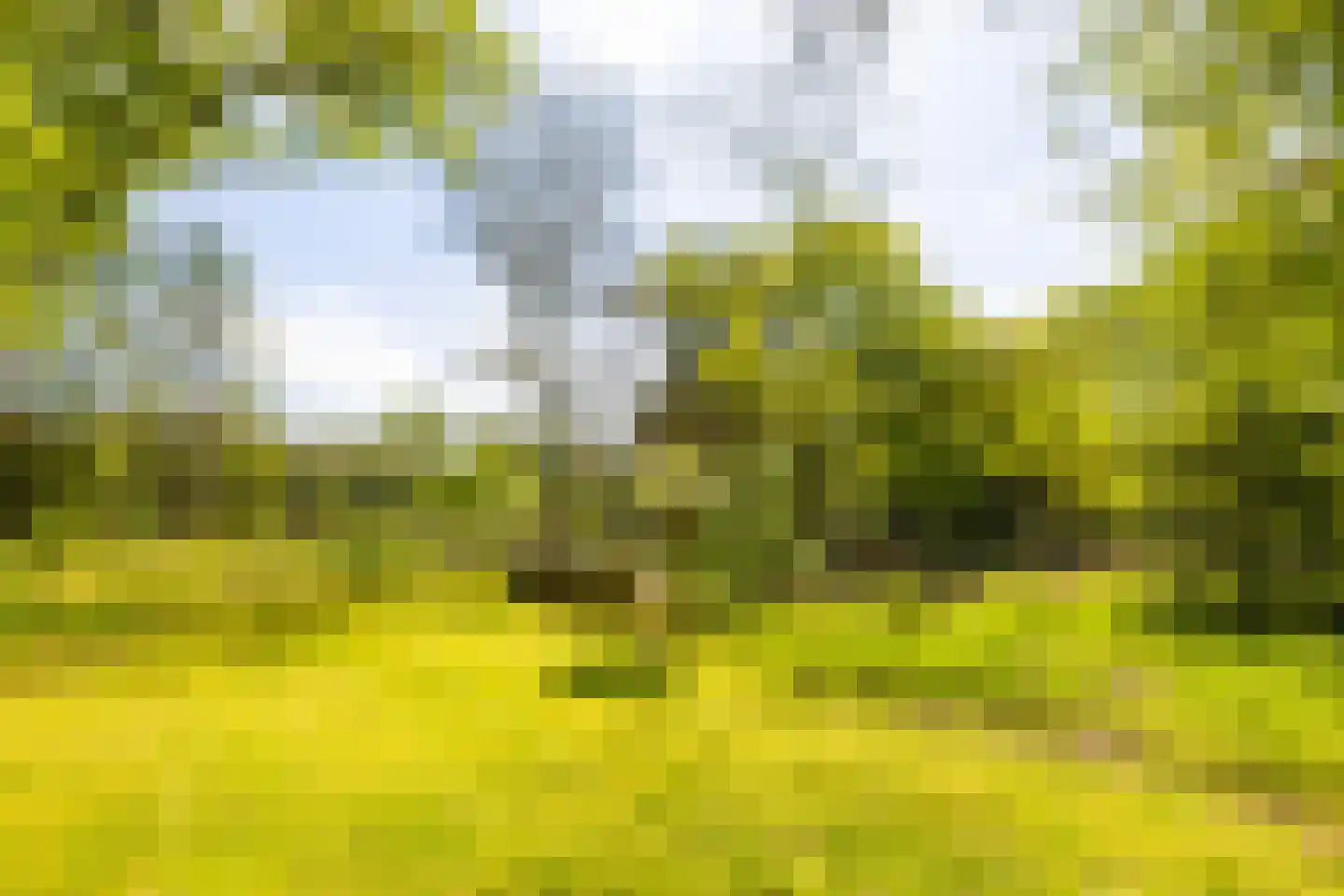 Oude Tolweg 3 Wierden thumbnail 48