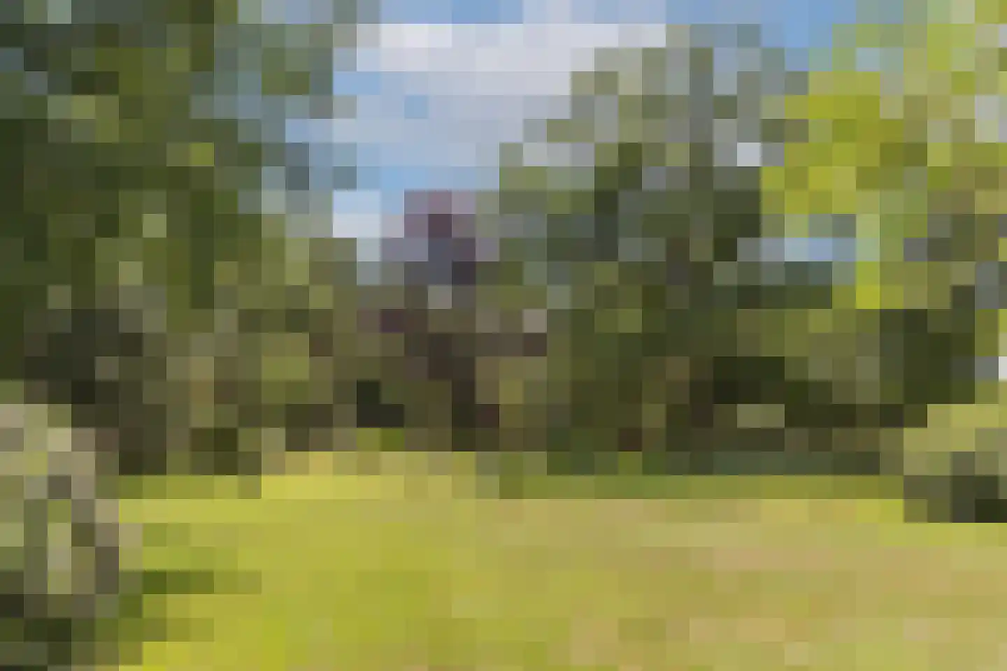 Oude Tolweg 3 Wierden thumbnail 49