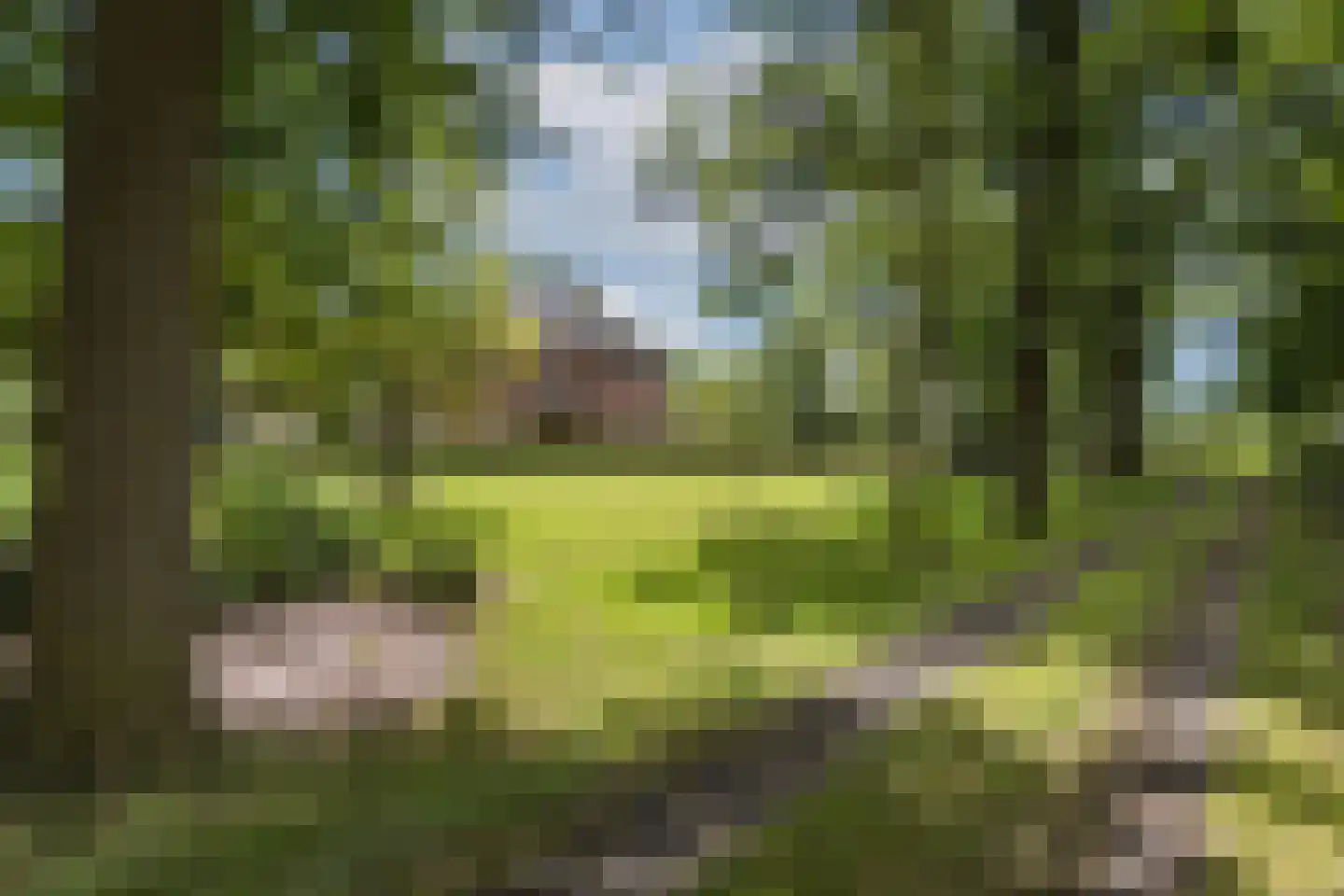 Oude Tolweg 3 Wierden thumbnail 5