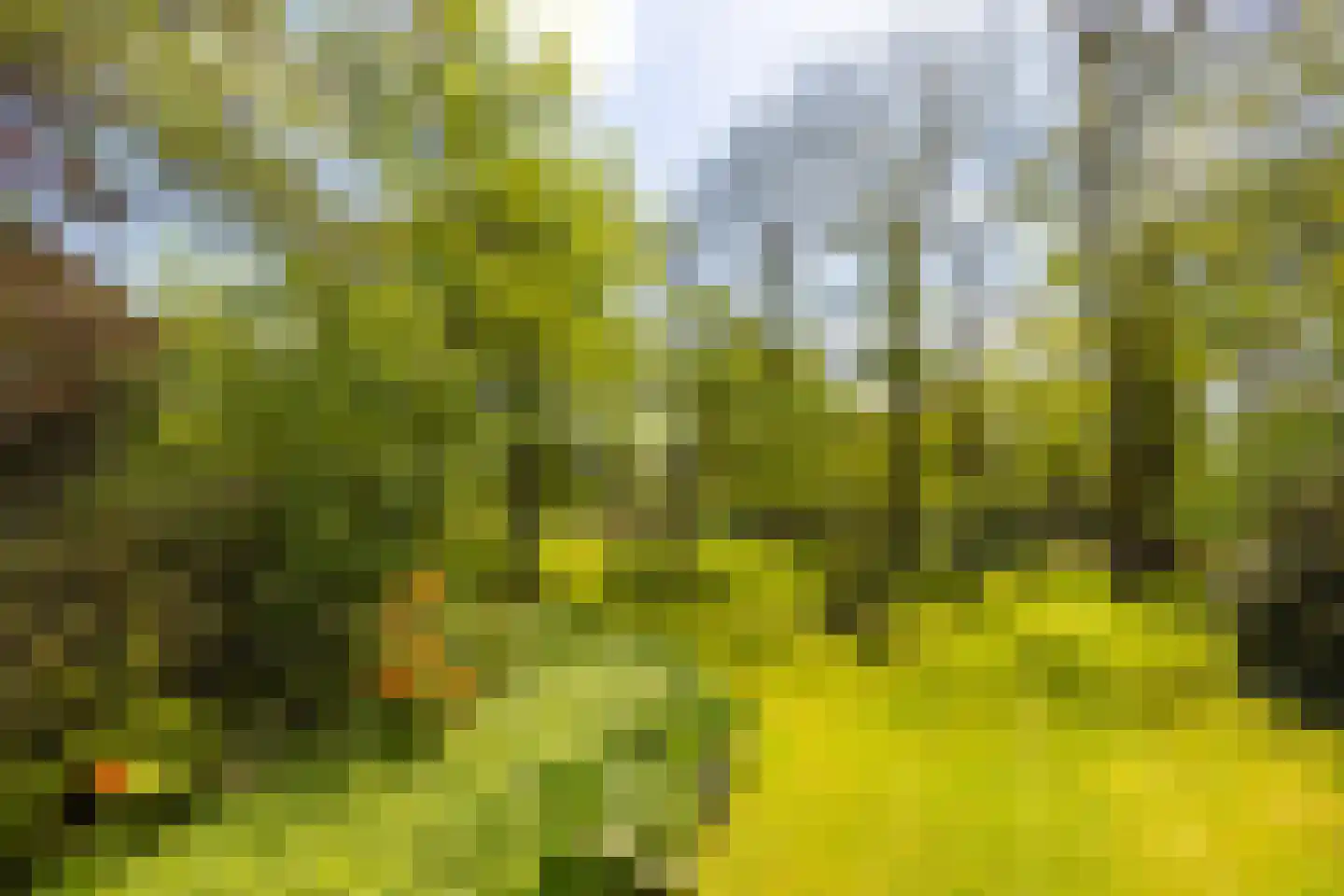 Oude Tolweg 3 Wierden thumbnail 50