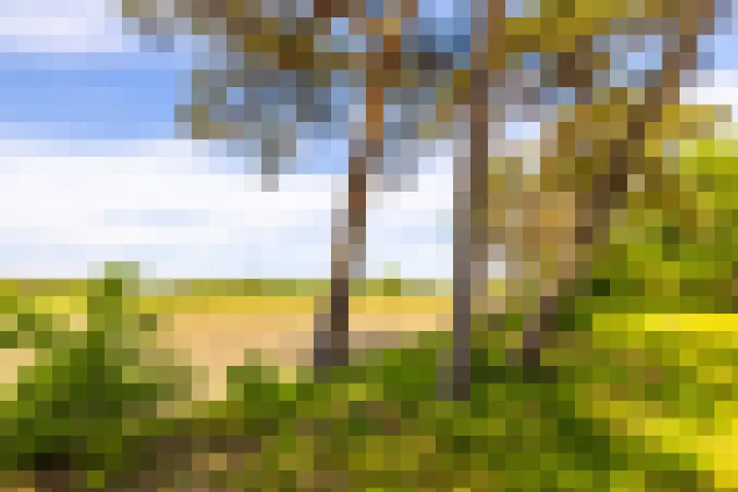 Oude Tolweg 3 Wierden thumbnail 51