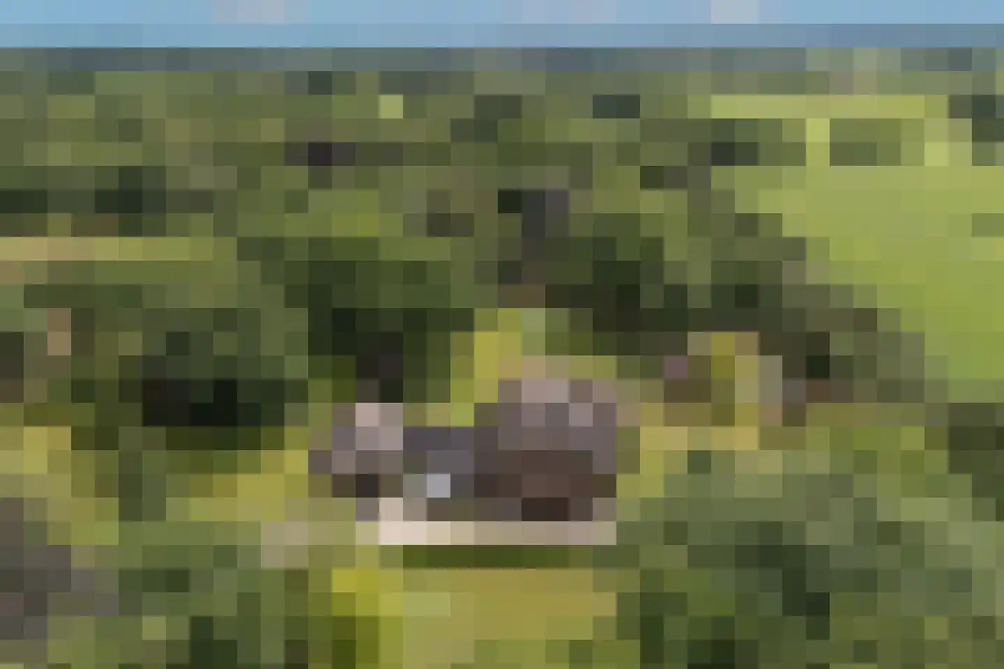 Oude Tolweg 3 Wierden thumbnail 52