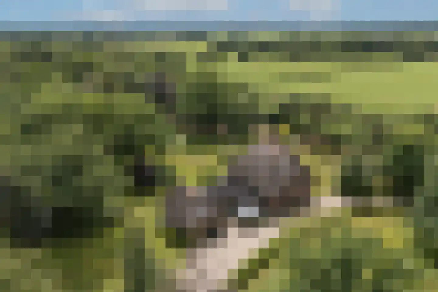 Oude Tolweg 3 Wierden thumbnail 53