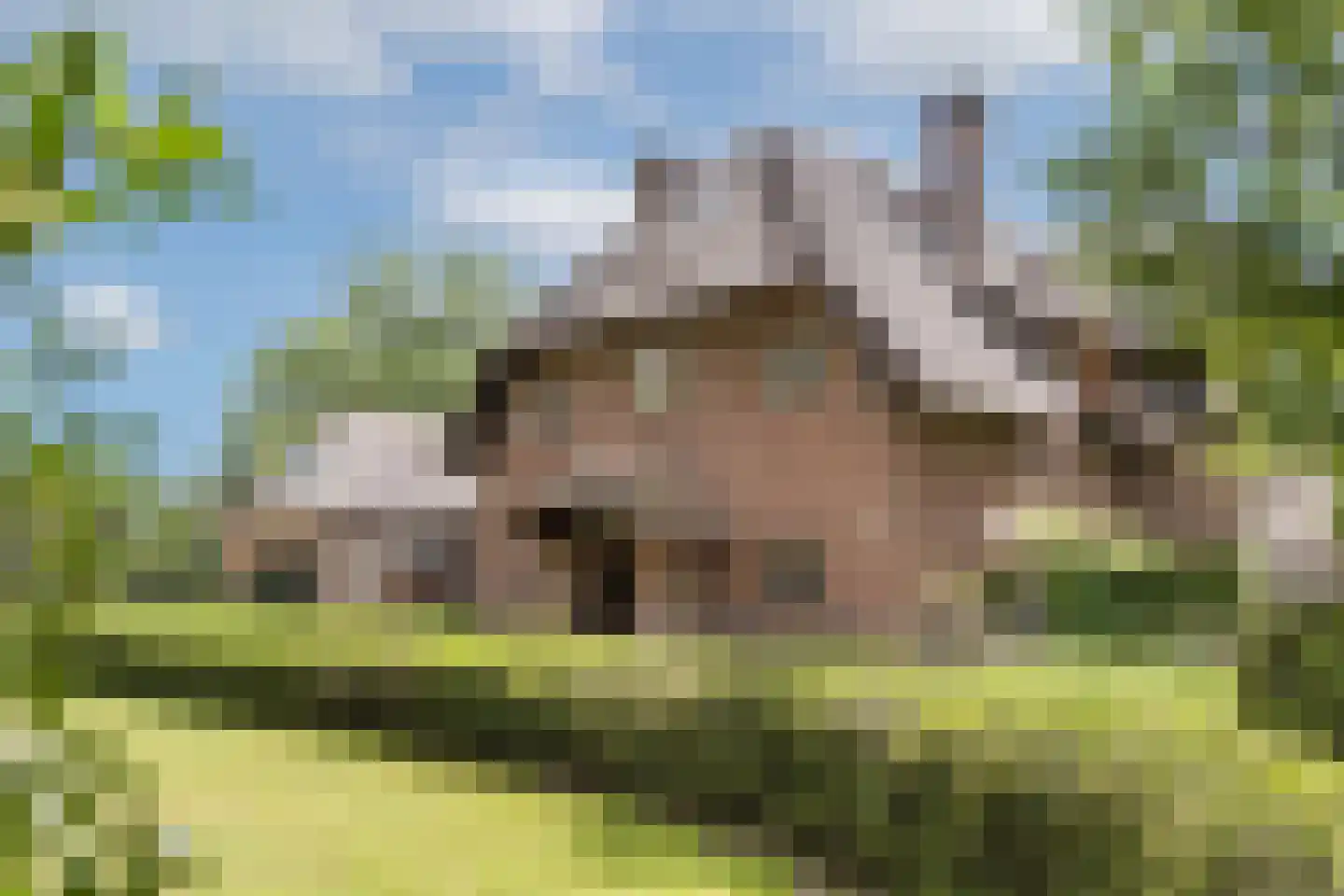 Oude Tolweg 3 Wierden thumbnail 6