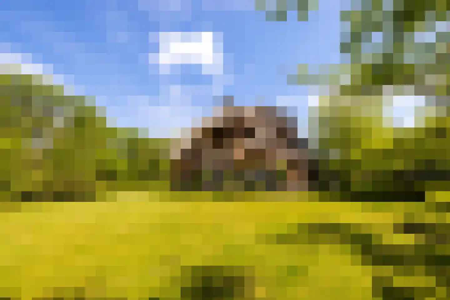 Oude Tolweg 3 Wierden thumbnail 8