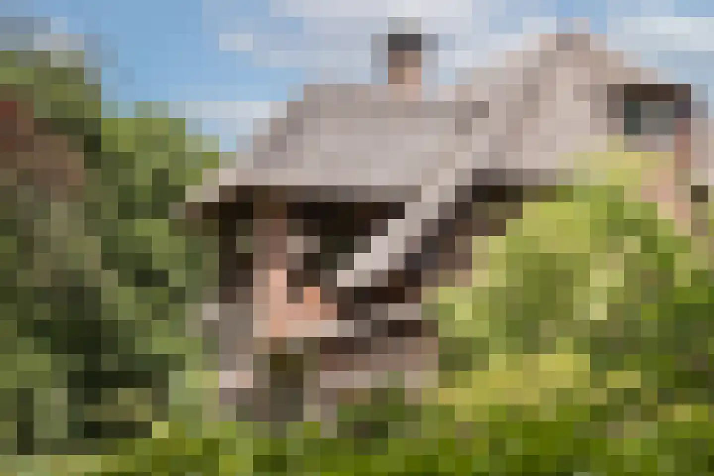 Oude Tolweg 3 Wierden thumbnail 9