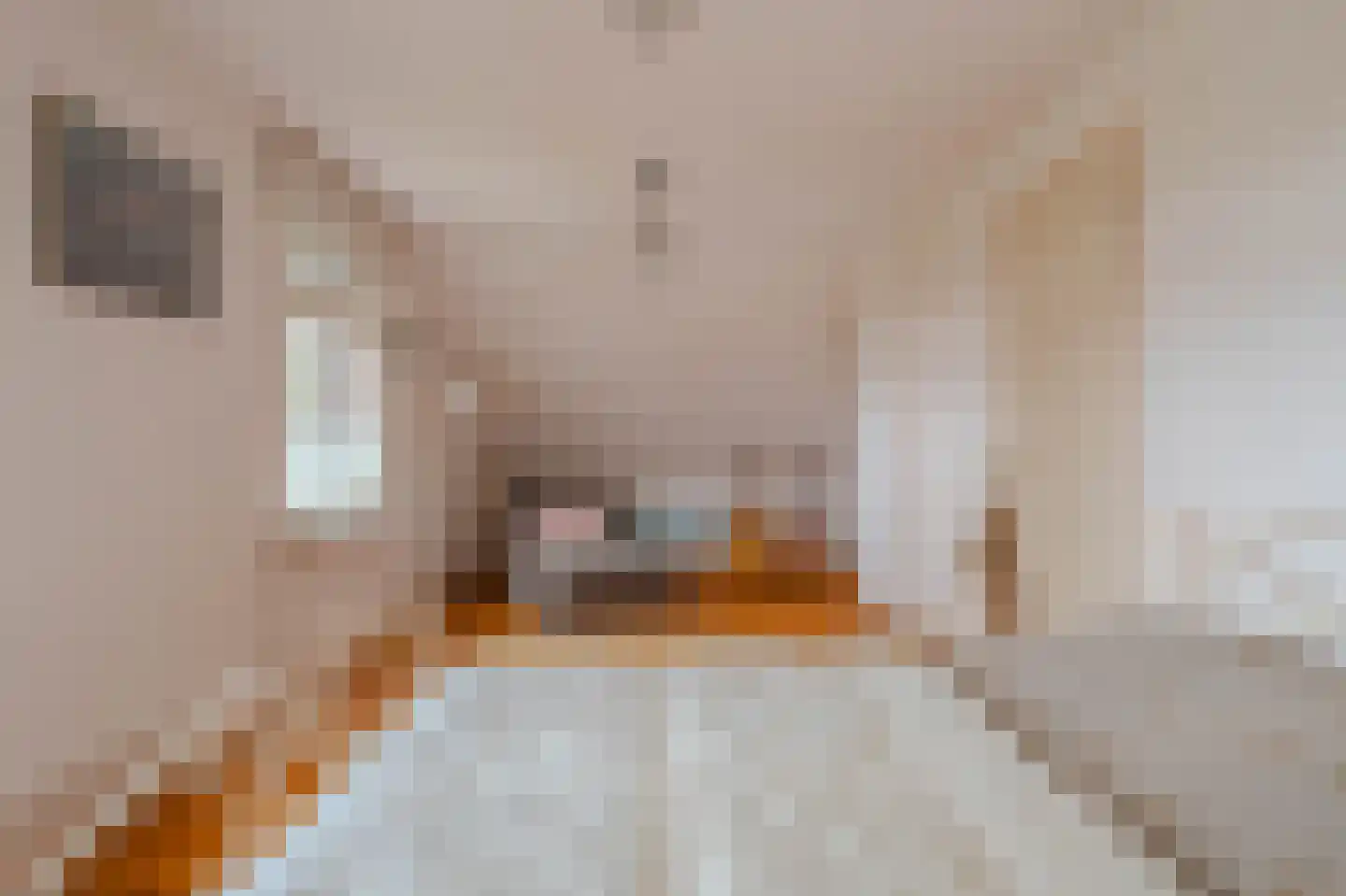 Oude Tolweg 5 Belfeld thumbnail 34
