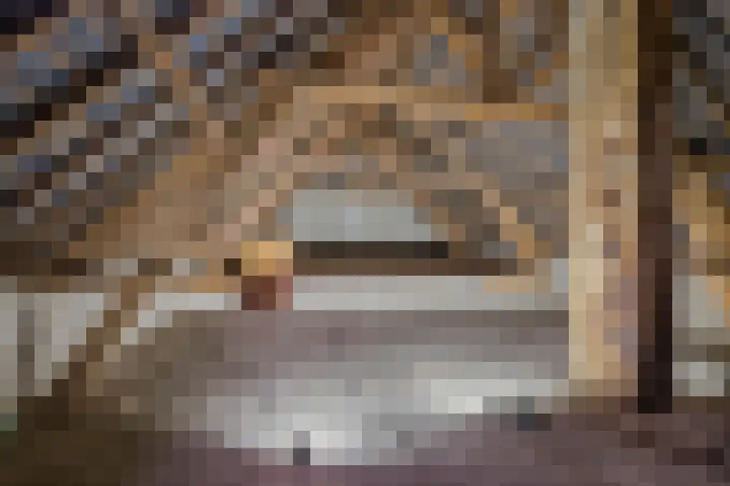 Oude Tolweg 5 Belfeld thumbnail 37
