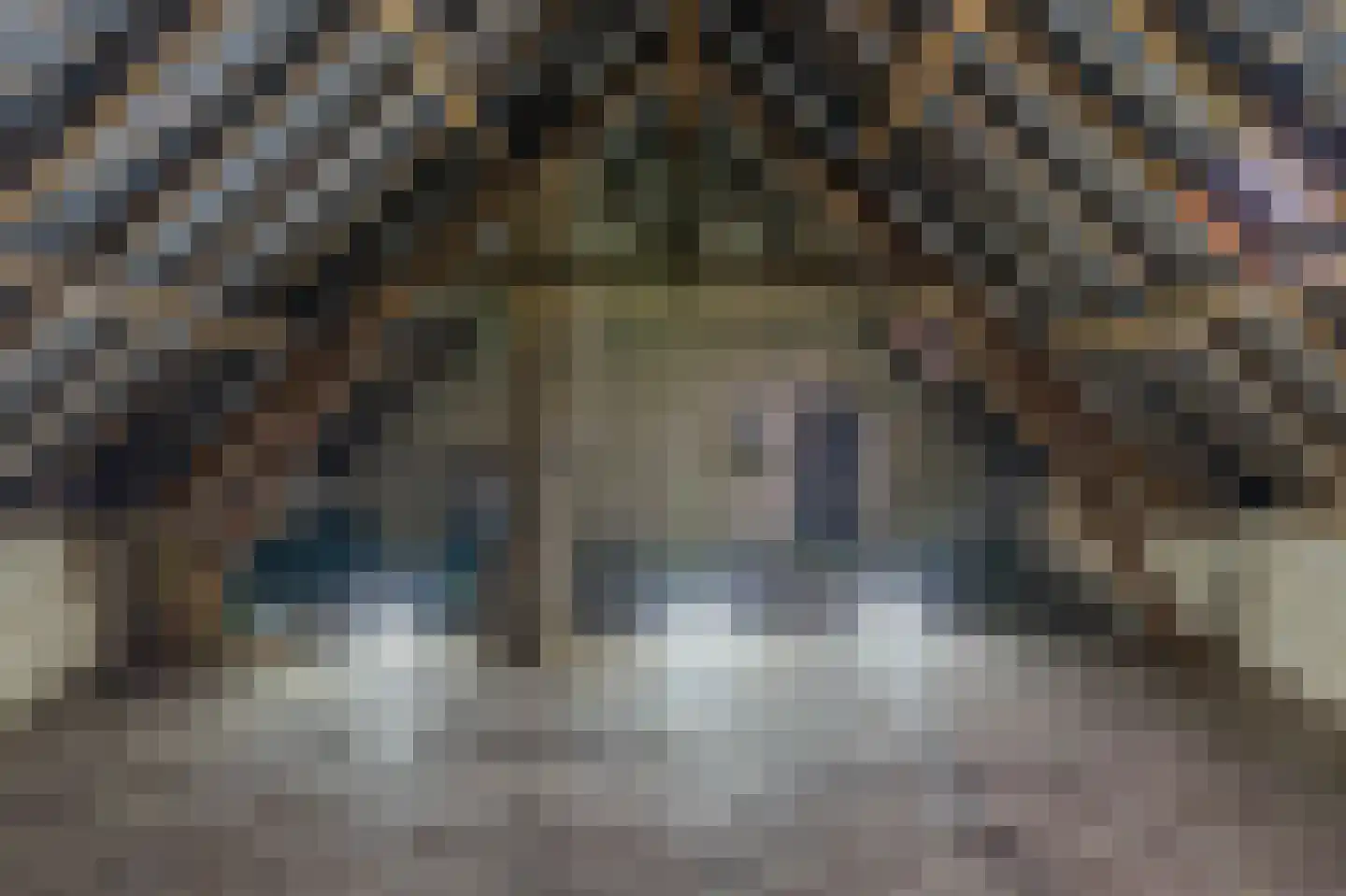 Oude Tolweg 5 Belfeld thumbnail 39