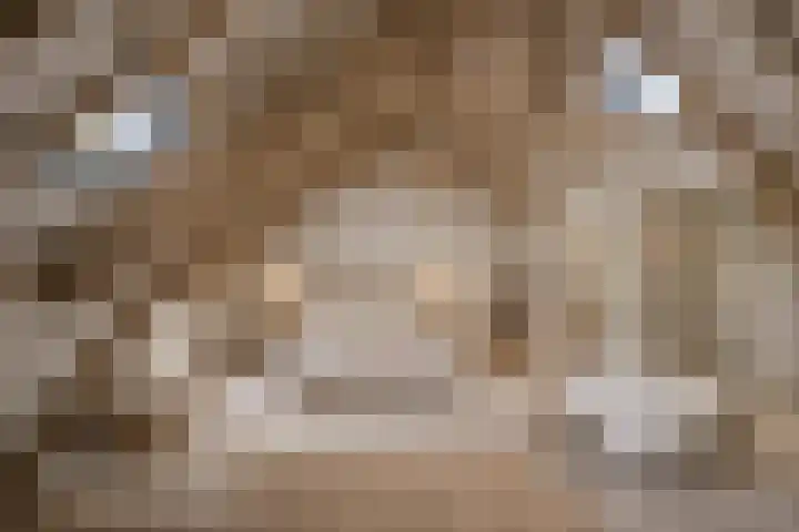 Oude Tolweg 5 Belfeld thumbnail 40