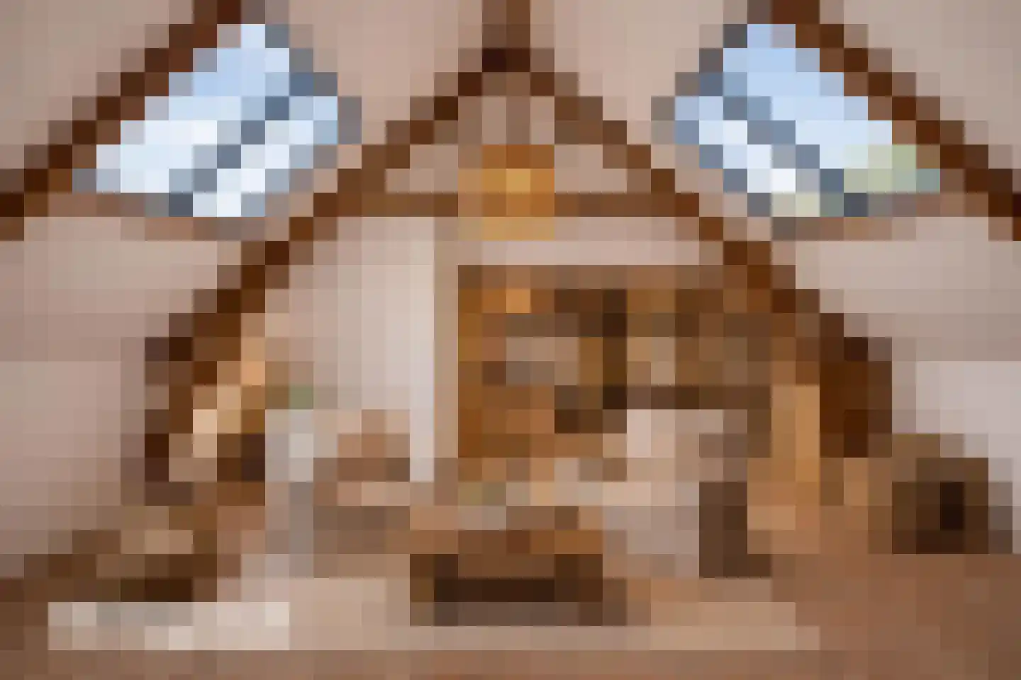 Oude Tolweg 5 Belfeld thumbnail 42