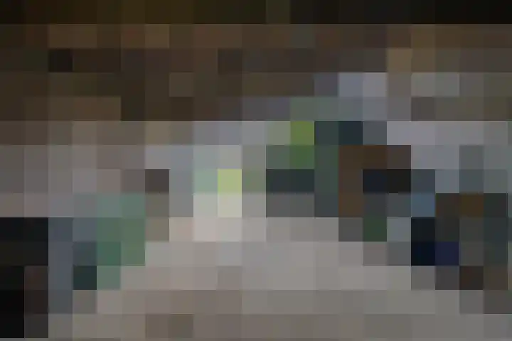 Oude Tolweg 5 Belfeld thumbnail 47