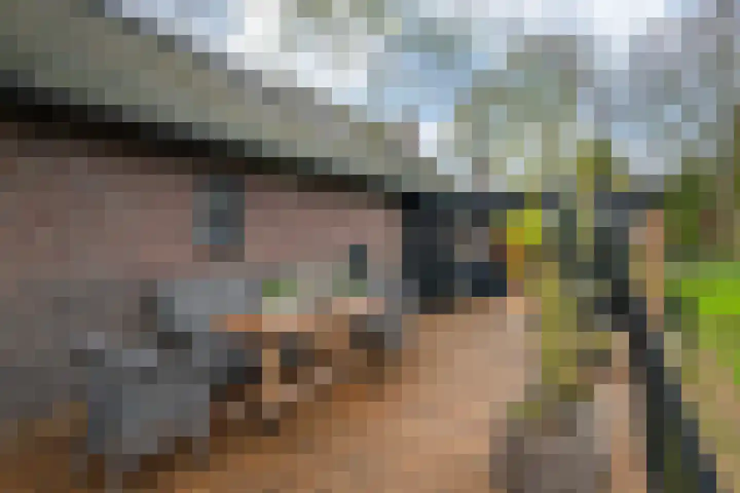 Oude Tolweg 5 Belfeld thumbnail 48