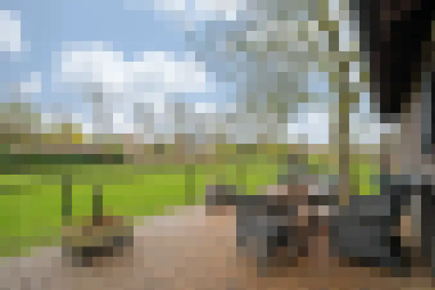 Oude Tolweg 5 Belfeld thumbnail 50