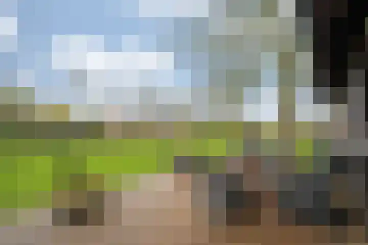 Oude Tolweg 5 Belfeld thumbnail 50