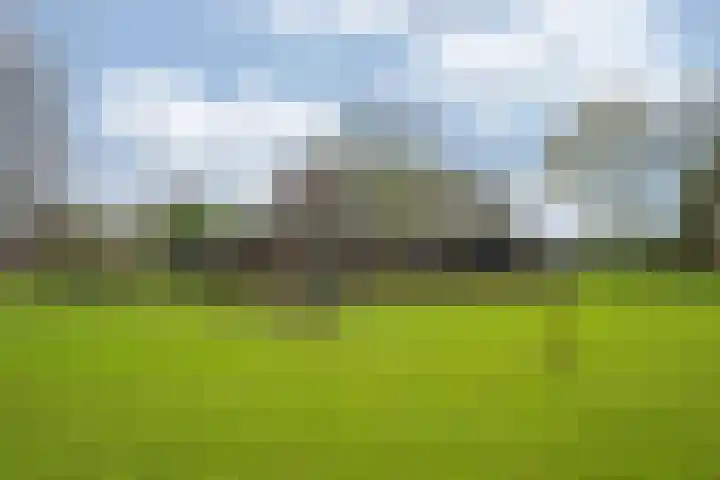 Oude Tolweg 5 Belfeld thumbnail 55