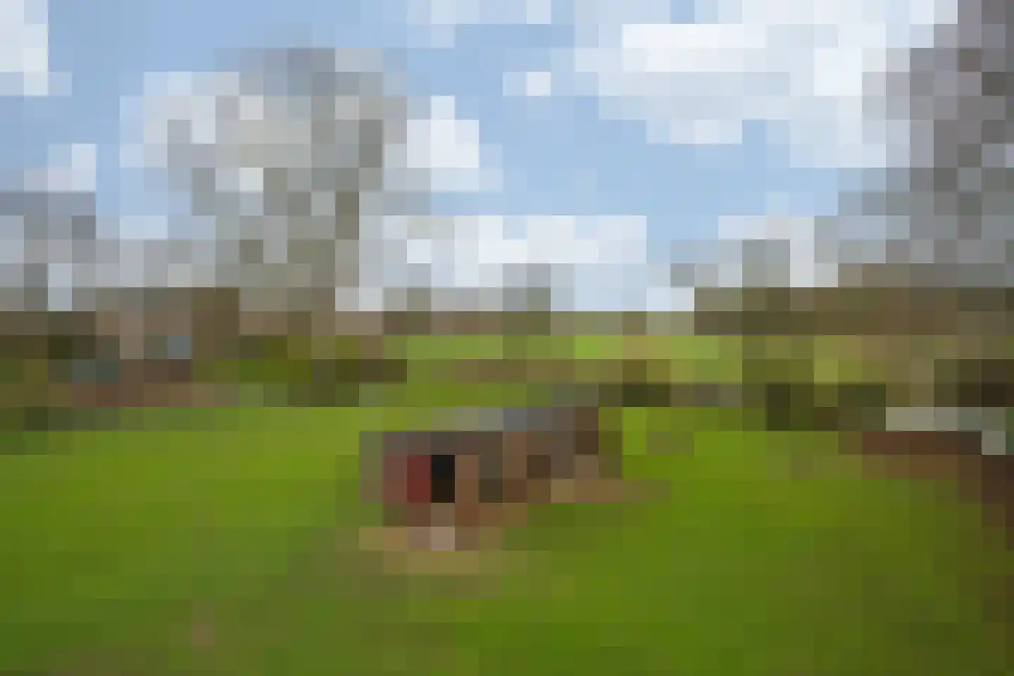 Oude Tolweg 5 Belfeld thumbnail 58