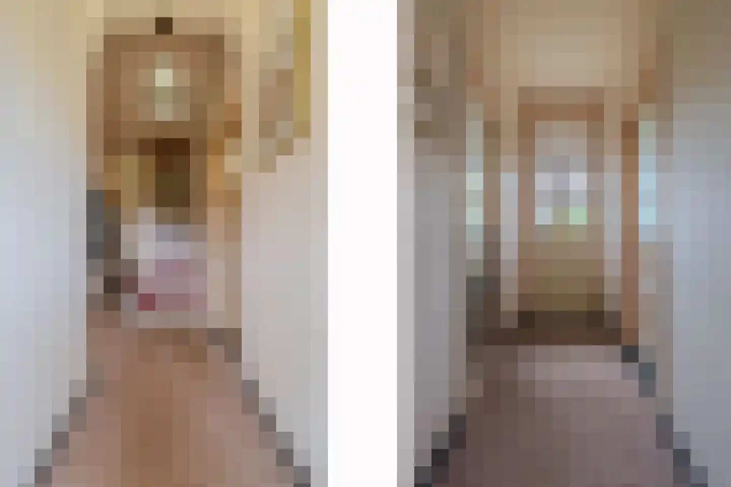 Oude Tolweg 5 Belfeld thumbnail 6