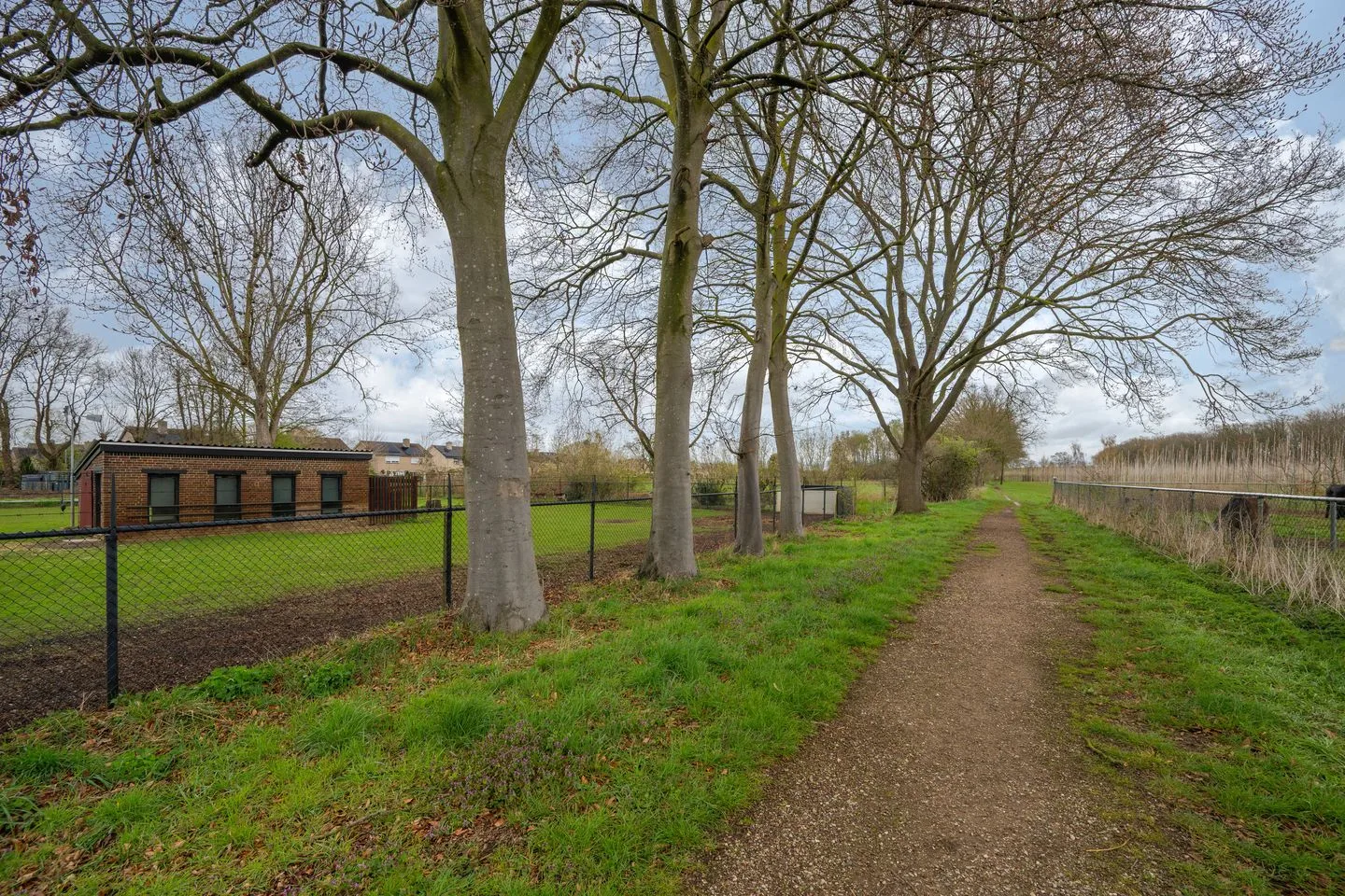 Oude Tolweg 5 Belfeld thumbnail 60