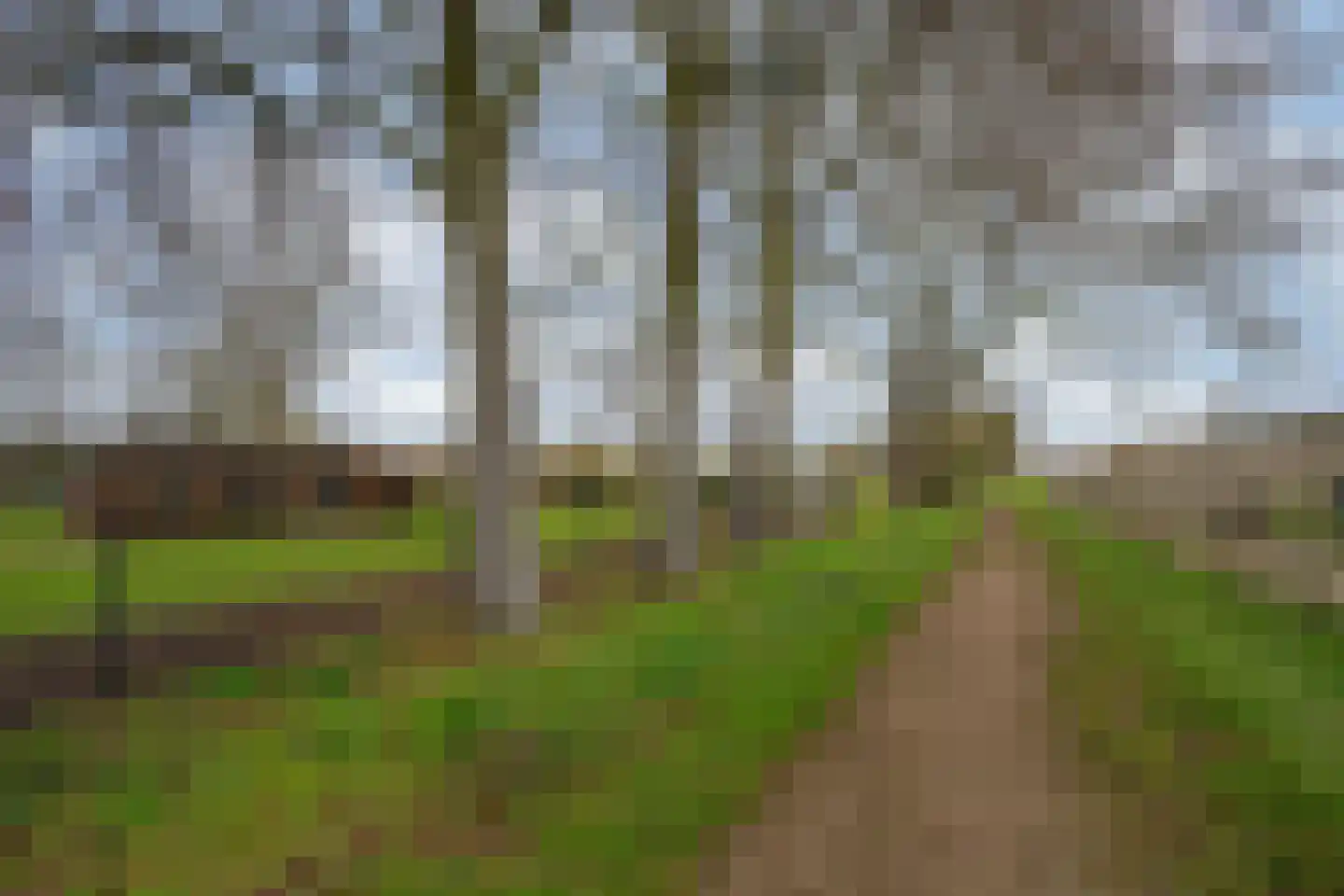 Oude Tolweg 5 Belfeld thumbnail 60