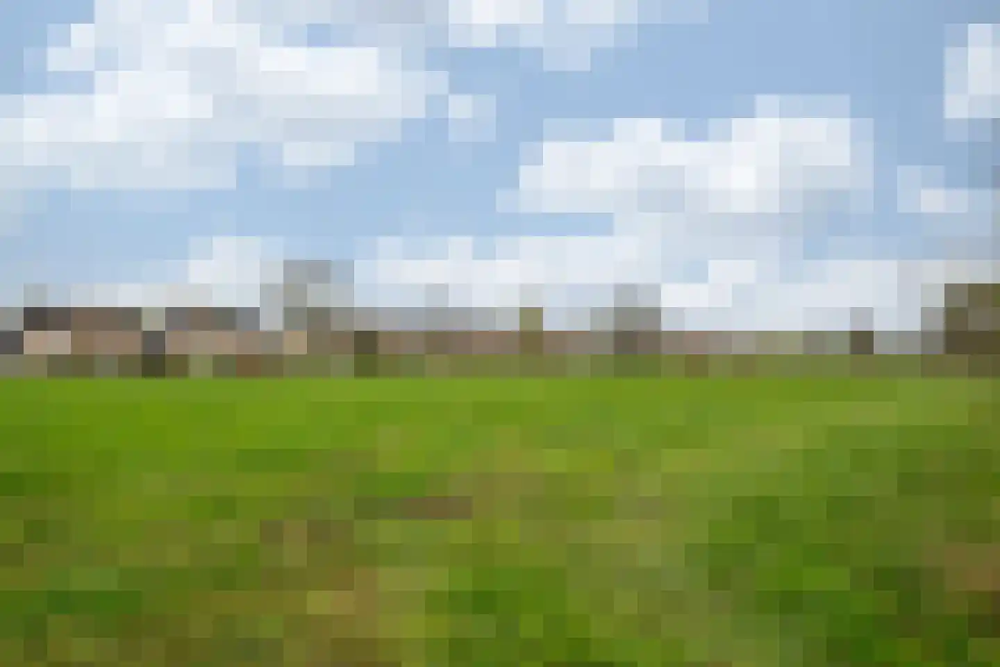 Oude Tolweg 5 Belfeld thumbnail 62