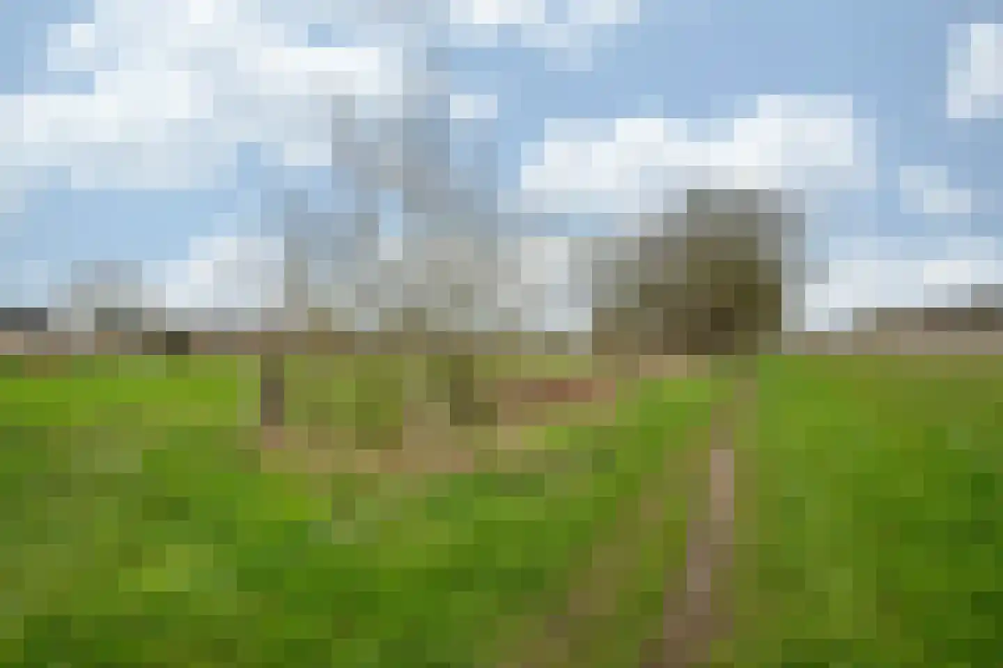Oude Tolweg 5 Belfeld thumbnail 63