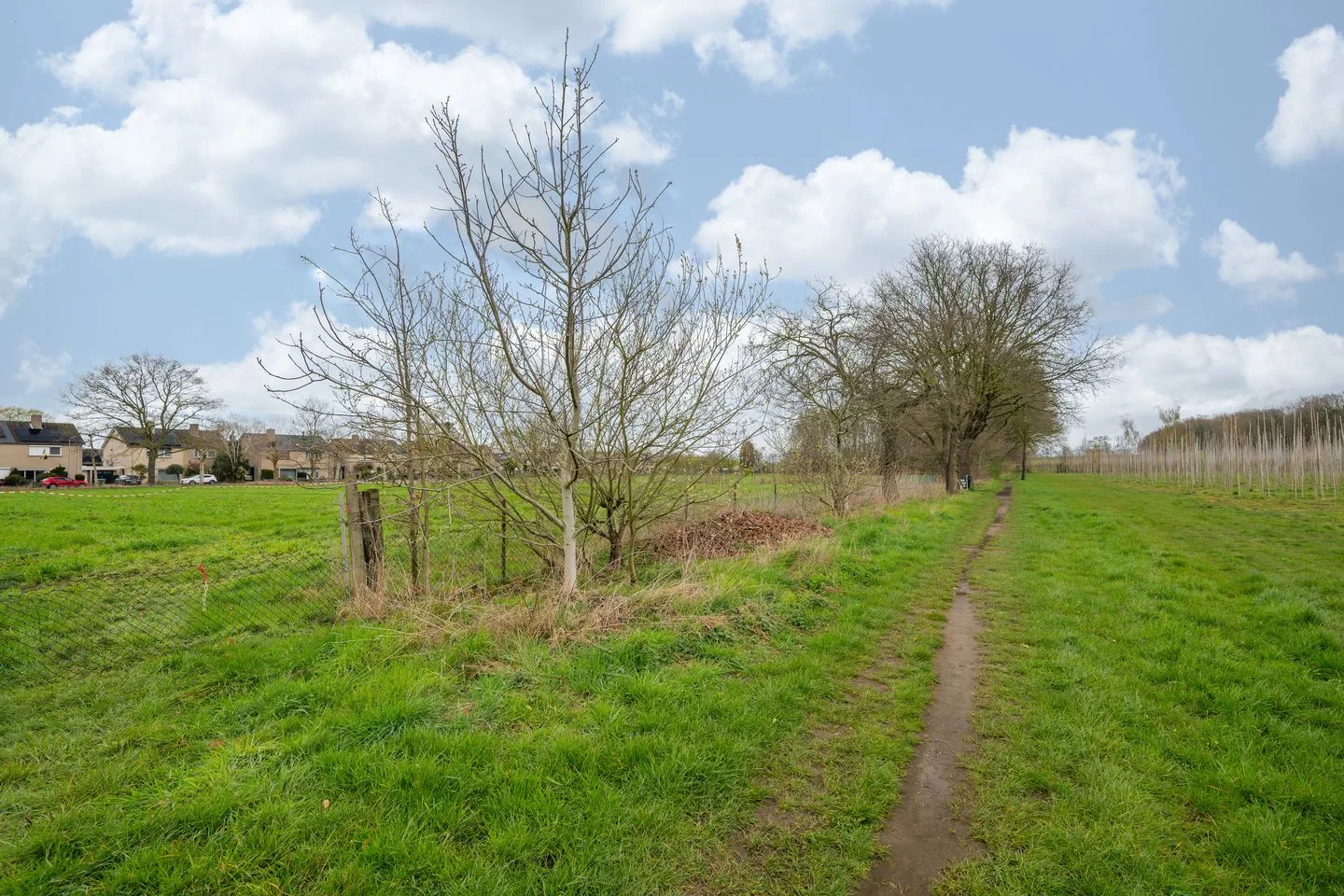 Oude Tolweg 5 Belfeld thumbnail 63
