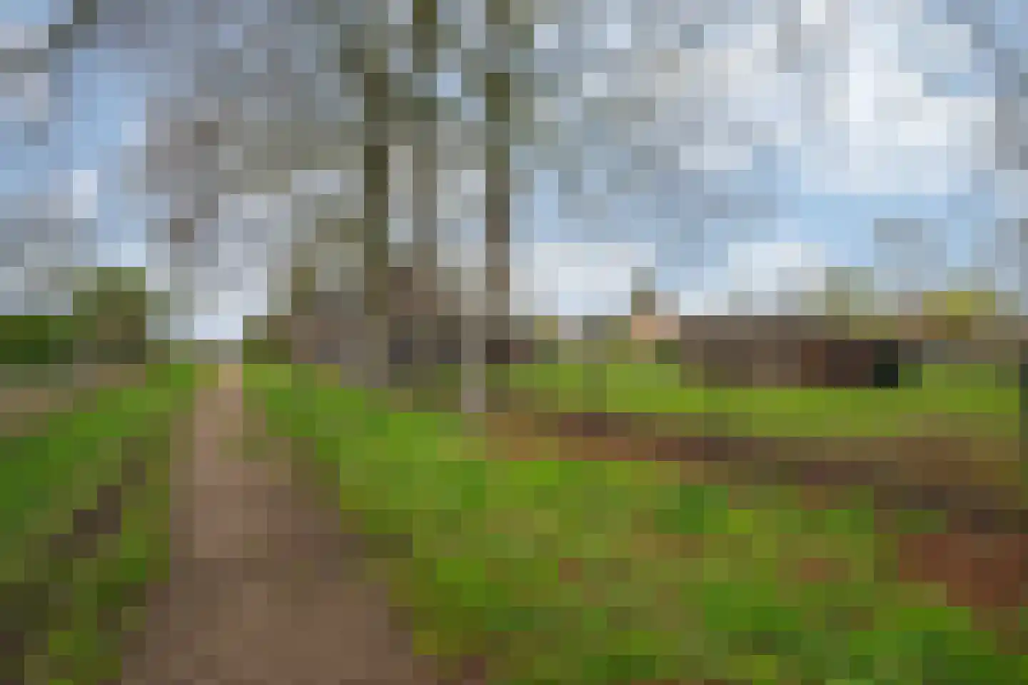 Oude Tolweg 5 Belfeld thumbnail 64