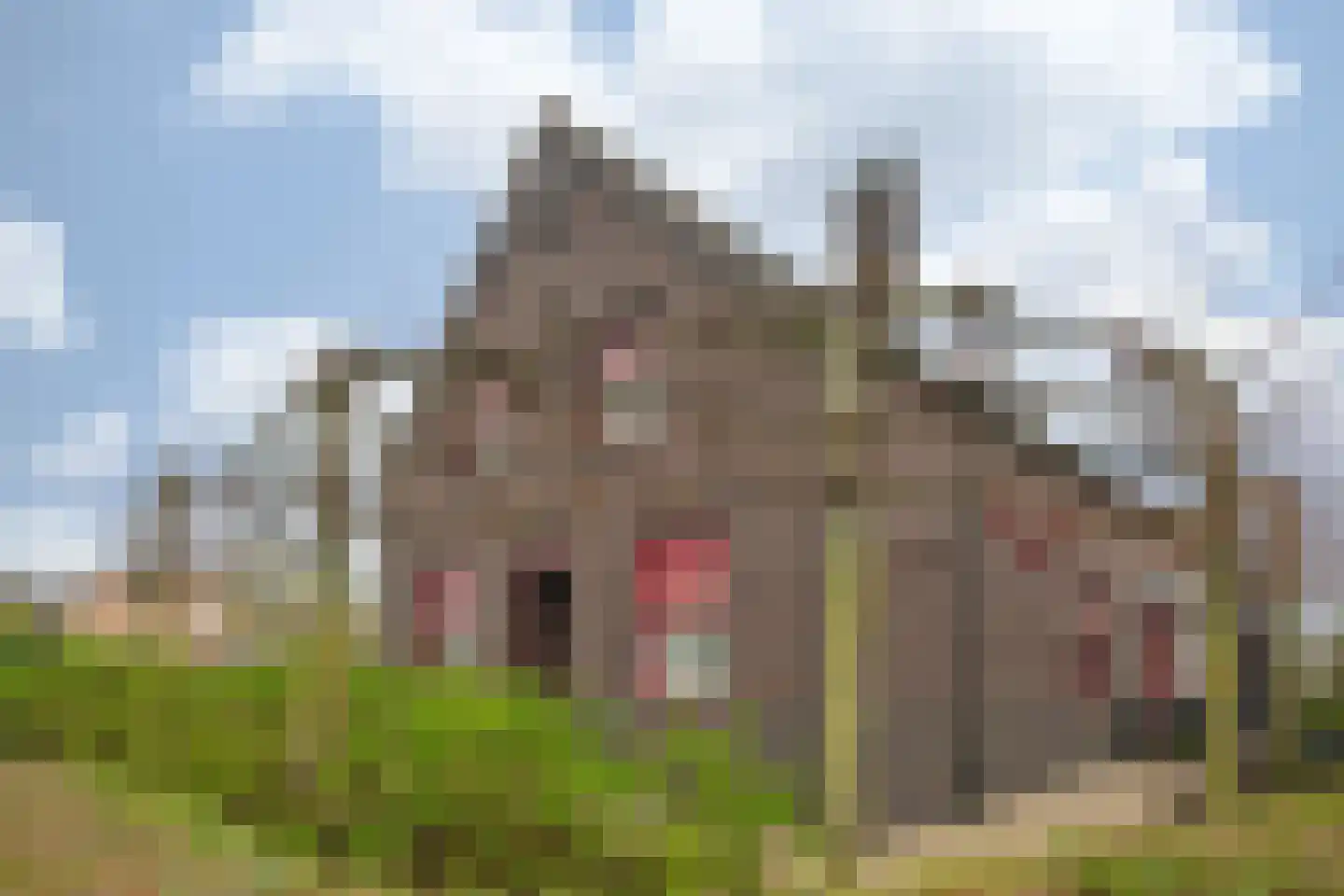 Oude Tolweg 5 Belfeld thumbnail 66