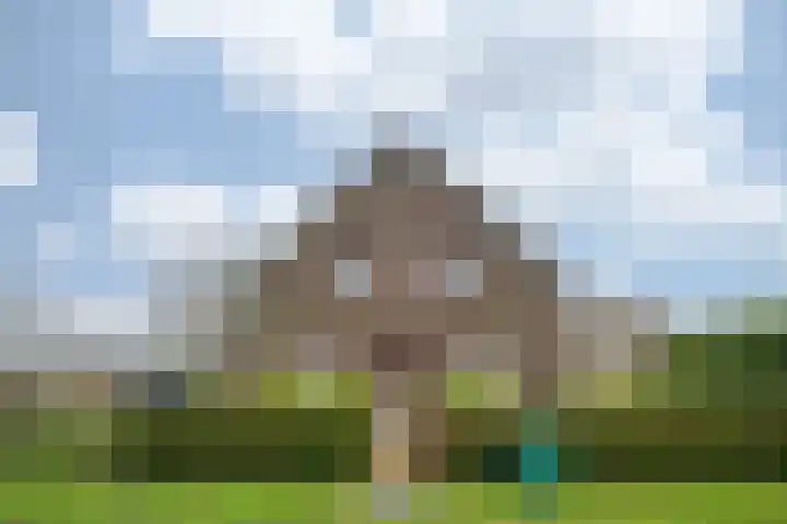 Oude Tolweg 5 Belfeld thumbnail 67