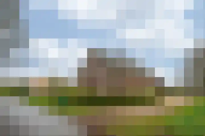 Oude Tolweg 5 Belfeld thumbnail 68