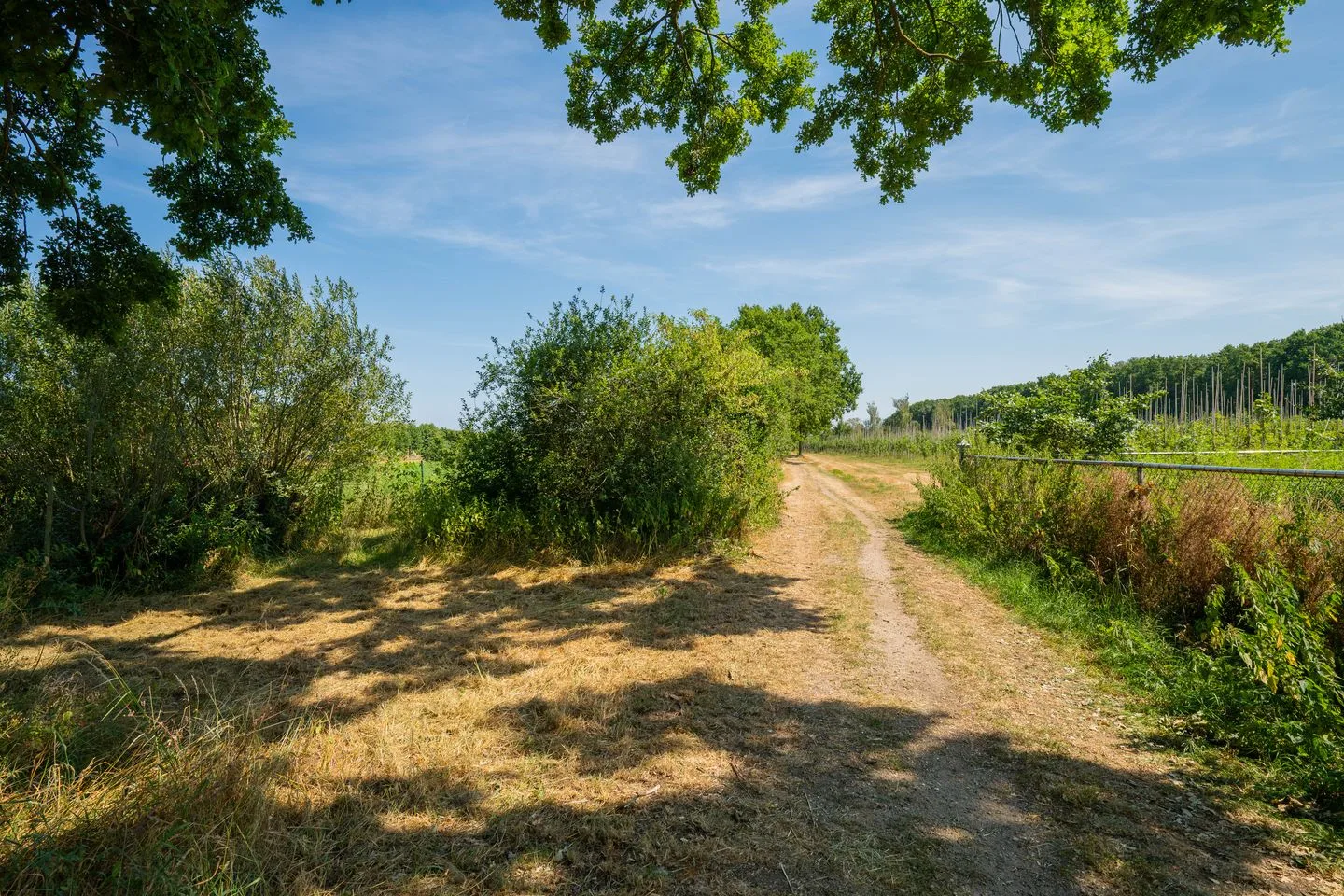 Oude Tolweg 5 Belfeld thumbnail 71