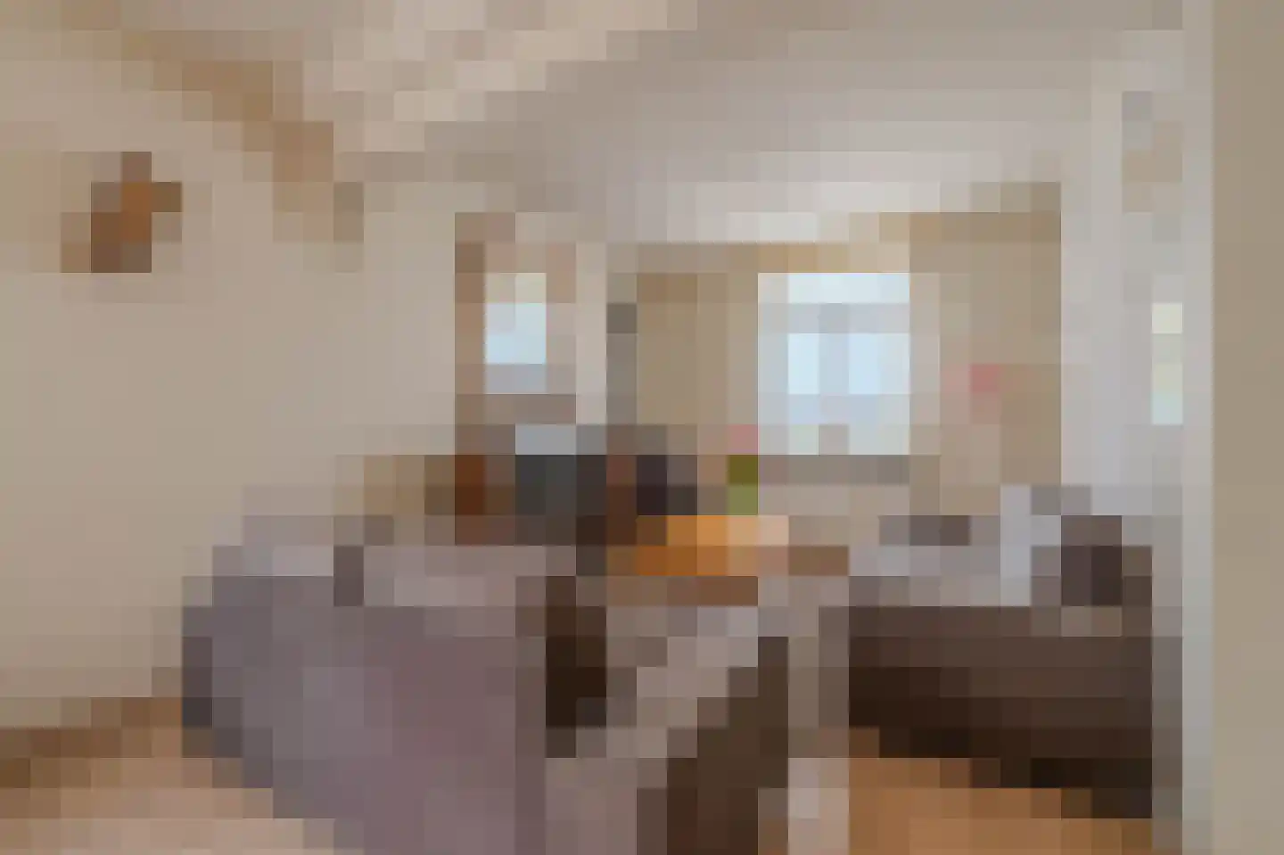 Oude Tolweg 5 Belfeld thumbnail 9