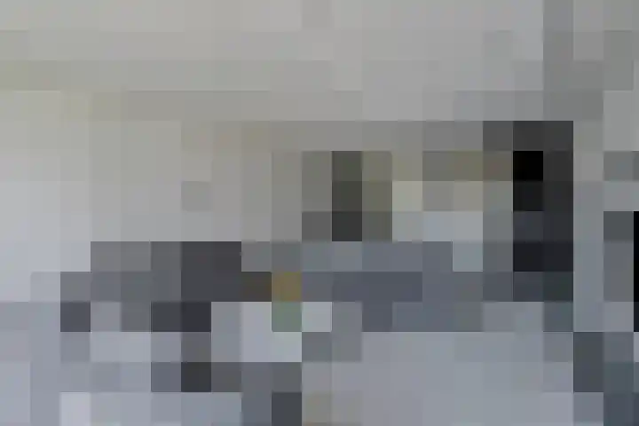 Oude-Tongepad 30 Rotterdam thumbnail 11