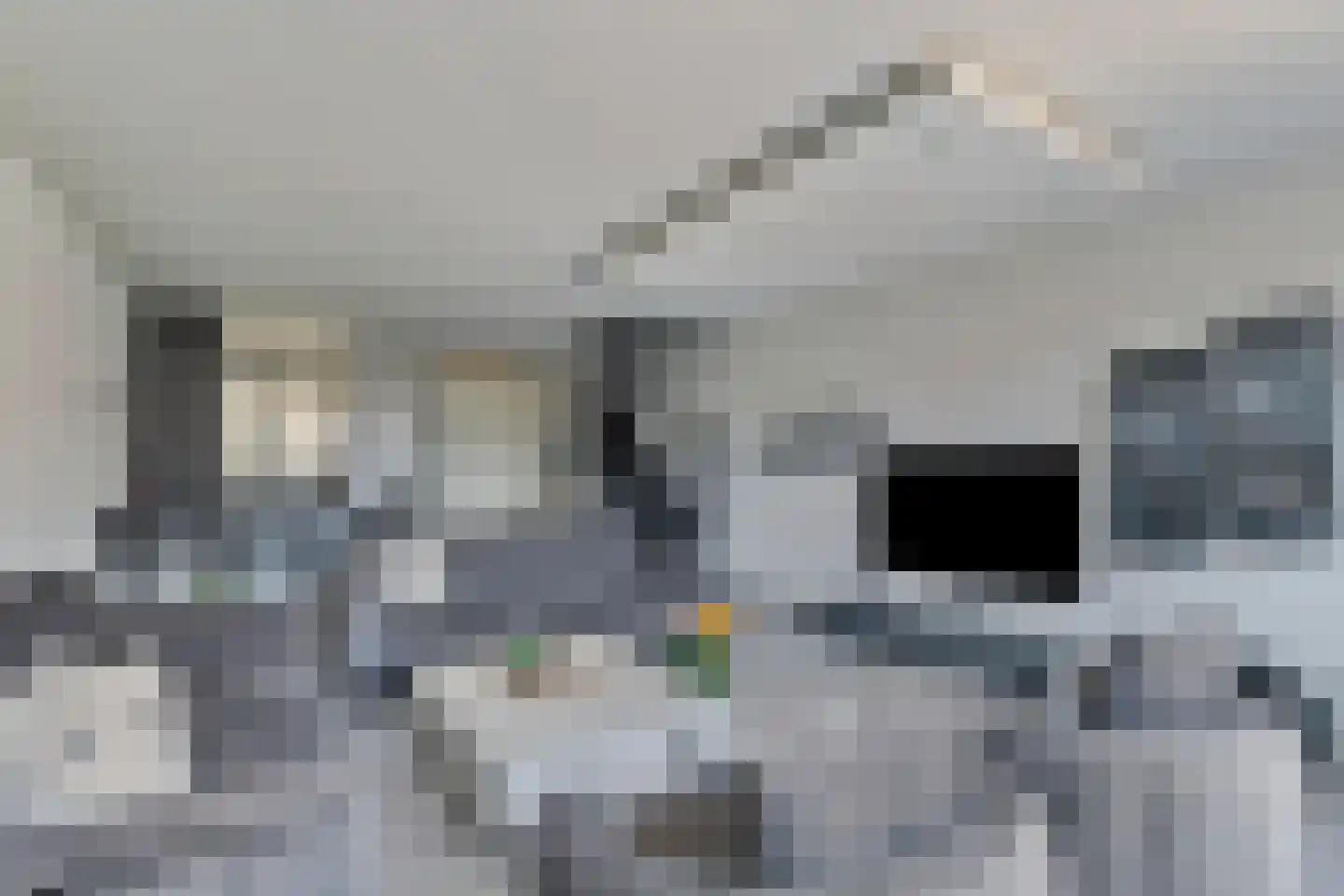 Oude-Tongepad 30 Rotterdam thumbnail 12