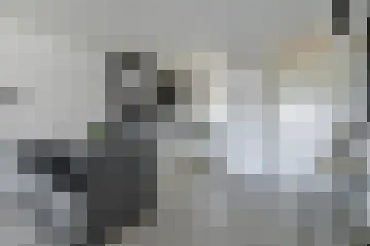 Oude-Tongepad 30 Rotterdam thumbnail 13