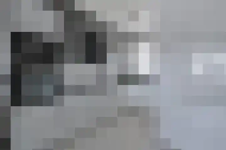 Oude-Tongepad 30 Rotterdam thumbnail 14
