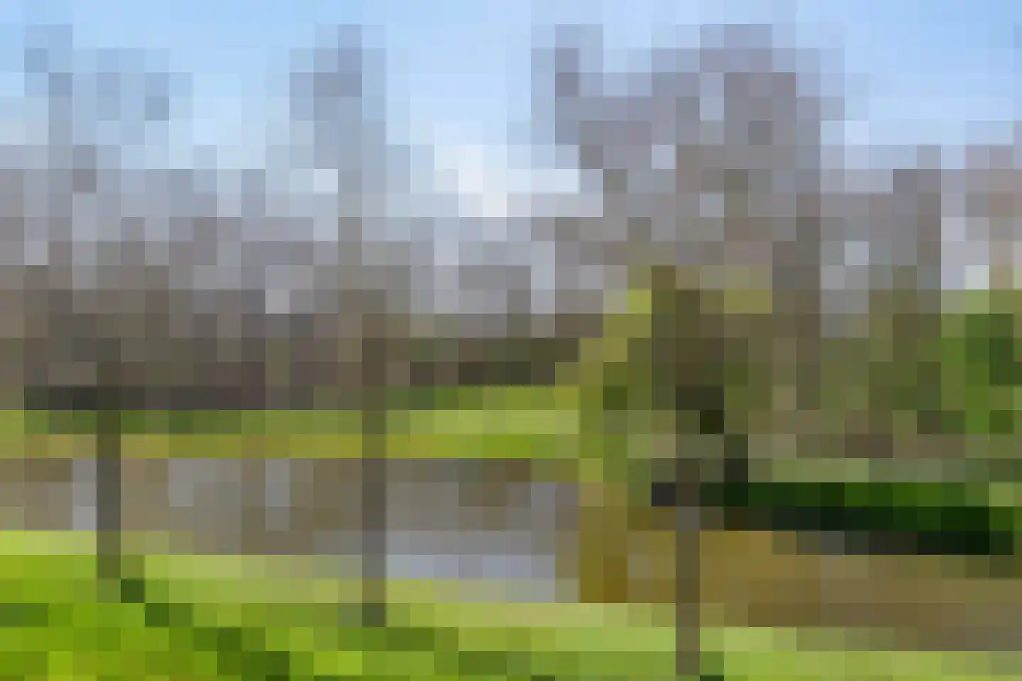 Oude-Tongepad 30 Rotterdam thumbnail 22